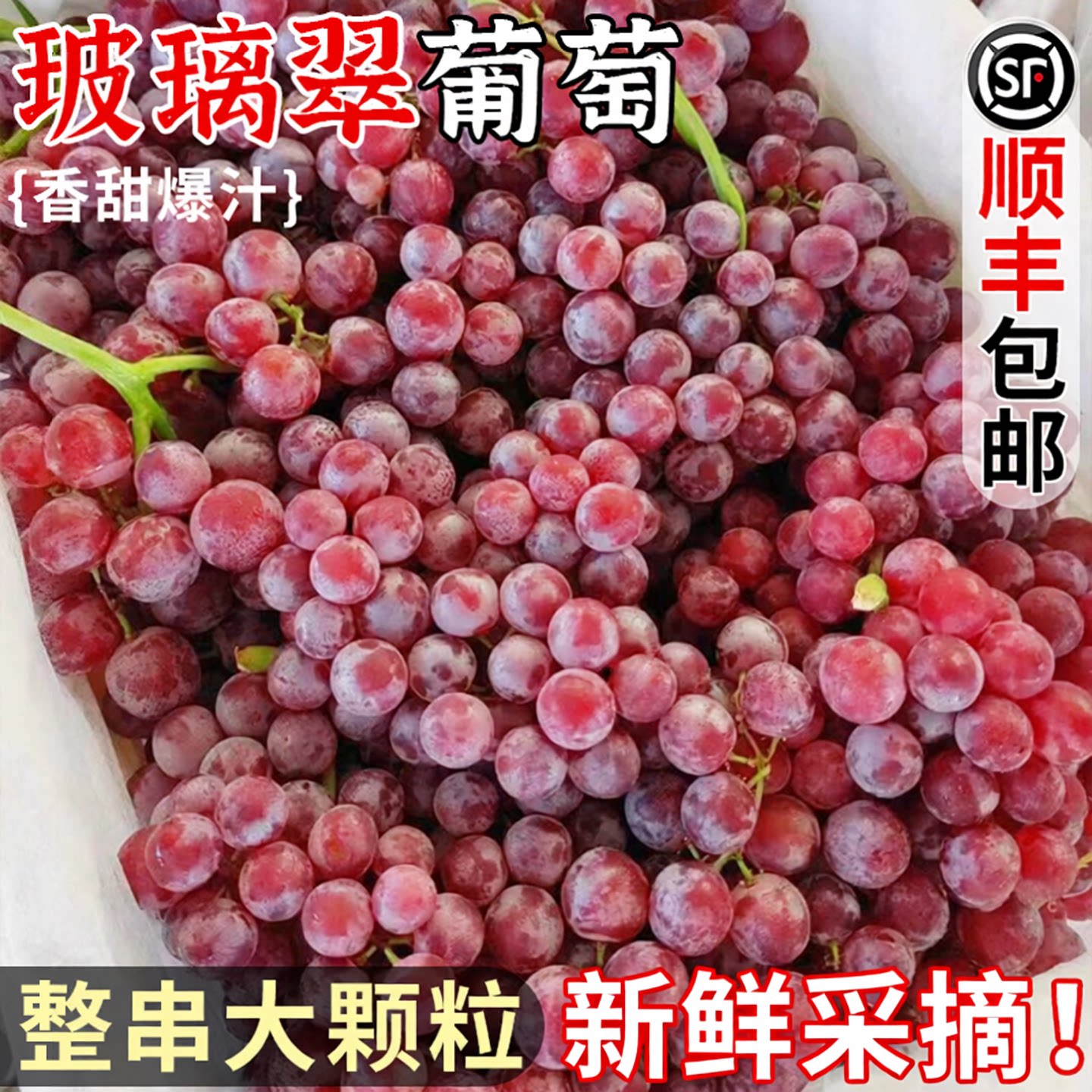 现摘丨新疆玻璃翠葡萄丨脆甜无籽
