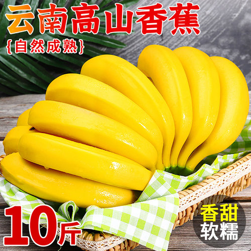 高山甜香蕉10斤整箱批发包邮