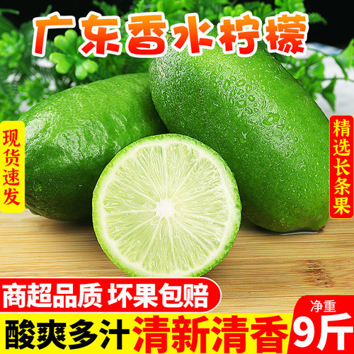 精选香水柠檬丨饮品店专用！