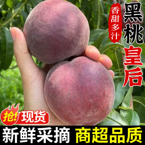 【精选品质】正宗黑桃皇后！香甜