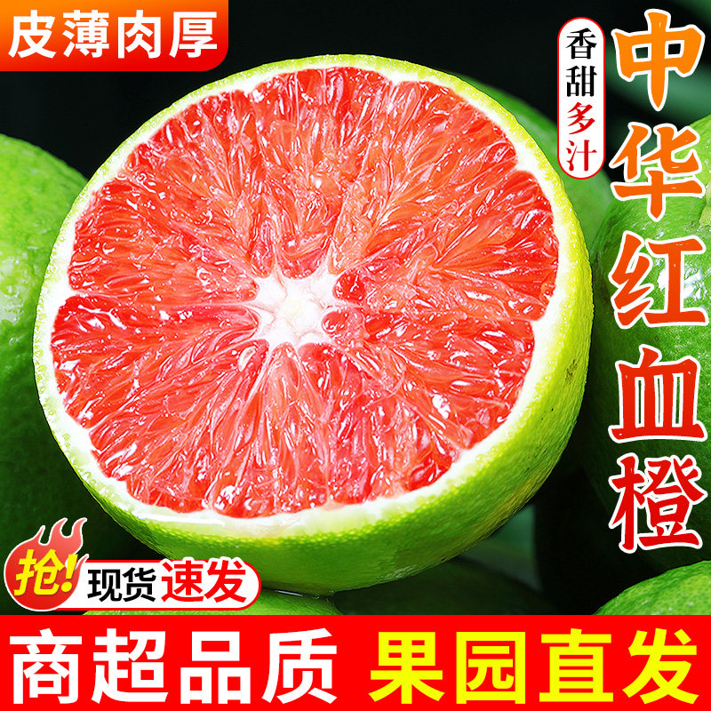 商超品质丨中华红血橙丨果园直发