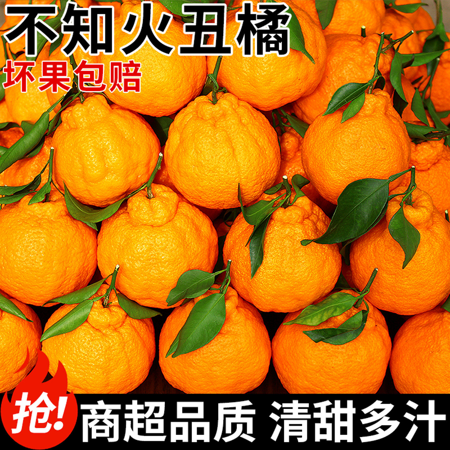 正宗四川不知火丑橘!香甜爆汁!
