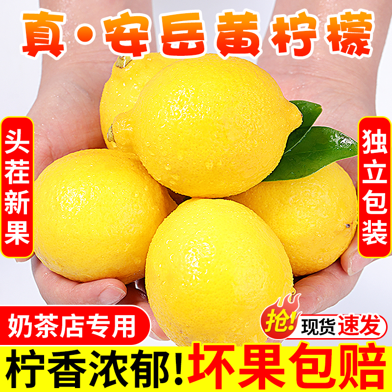 四川安岳黄柠檬新鲜水果当季皮薄精选香水甜青柠檬小金桔整箱包邮