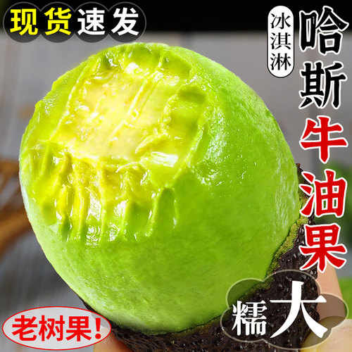 精选品质！哈斯牛油果！软糯丝滑
