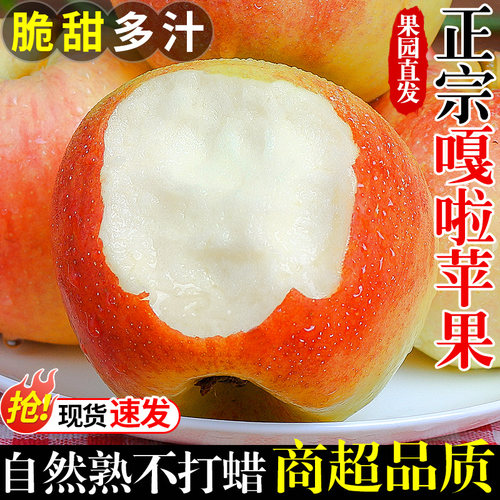 【现摘现发】正宗嘎啦苹果！脆甜