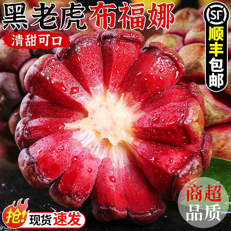 现摘!黑老虎布福娜水果!顺丰包邮