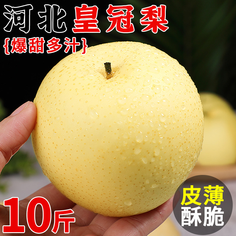 河北皇冠梨10斤新鲜水果正宗脆甜梨子应当季现摘鸭梨雪梨整箱包邮