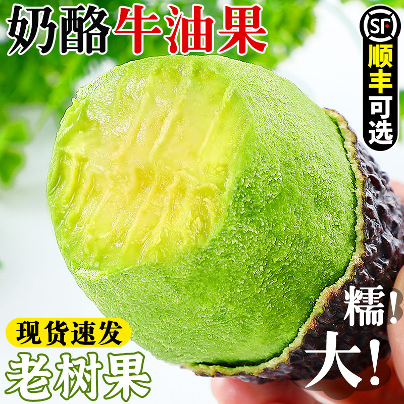 牛油果大果新鲜水果当季整箱现摘鳄梨牛油果奶油宝宝辅食孕妇包邮