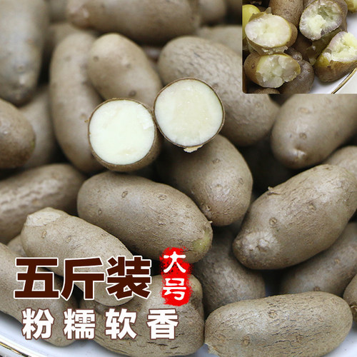 2026新鲜铁棍山药豆铁正宗杆淮山药小白嘴山药蛋山药种5斤装包邮
