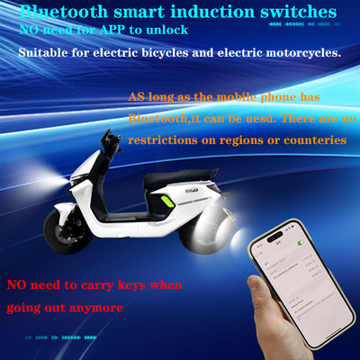 Electricvehicleinduction starter away from shutdown48V60V72V