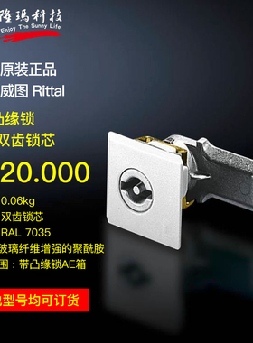 威图Rittal原厂正品机柜锁2420.000四方锁SZ凸缘锁2420000