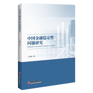 【官方旗舰店】 中国金融稳定性问题研究 金融稳定、金融稳健、国际资本流动、利率市场化、金融结构、金融创新、金融稳定评估体系