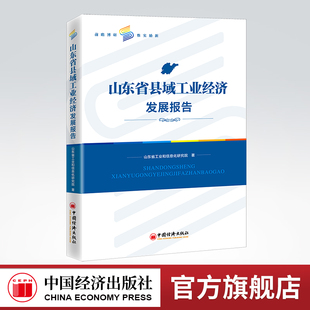 【官方旗舰店】山东省县域工业经济发展报告 工业和信息化，县域经济，工业经济