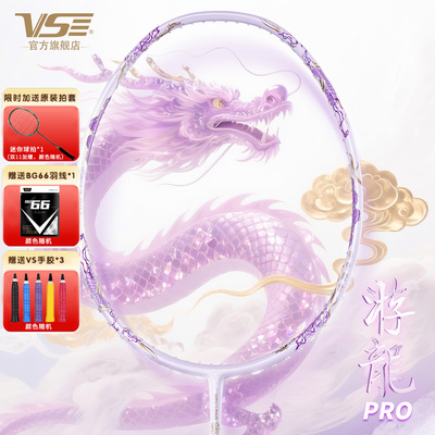 VS威臣游龙PRO羽毛球拍