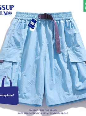 WASSUP PALM蓝色短裤男夏季2025新款情侣工装宽松休闲运动五分裤