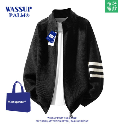 WASSUPPALM毛衣男2025新款春秋
