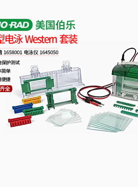美国伯乐小型垂直电泳槽1658001电泳仪1645050WB核酸电泳蛋白