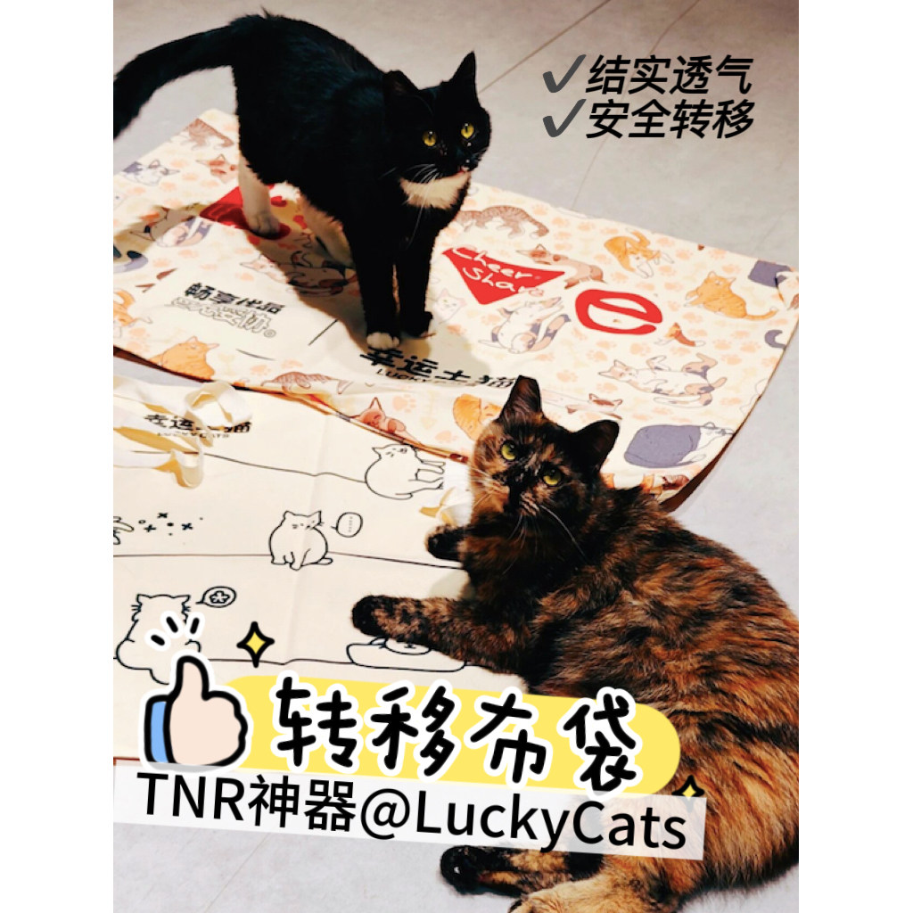 【TNR工具】转移布袋结实透气安全运猫可配套诱捕笼使用图片