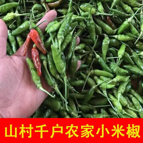 新鲜野山椒小米辣椒指天椒朝天椒老坛泡椒广西现摘发包邮0.5-10斤