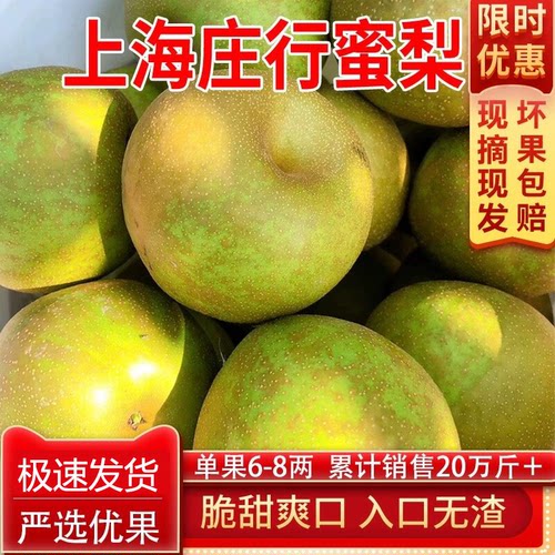 正宗庄行翠冠梨脆甜可口细腻无渣