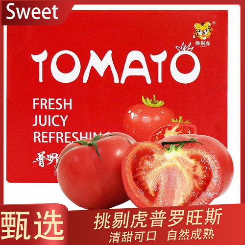 挑剔虎山东普罗旺斯西红柿4.5斤