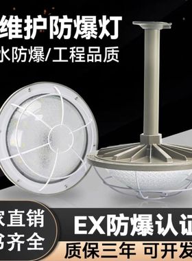 地雷灯LED防爆灯50W隔爆型车间仓库厂房工矿灯吸顶照明防爆灯具