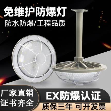 地雷灯LED防爆灯50W隔爆型车间仓库厂房工矿灯吸顶照明防爆灯具