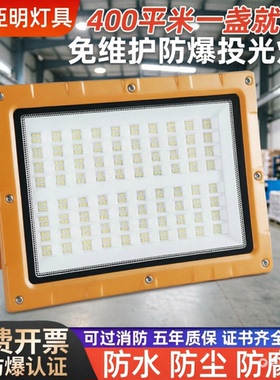 LED防爆灯低压12-85V隧道灯矿井灯厚壳工厂冷库煤矿灯防水投光灯