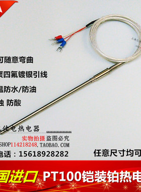 进口PT100铠装热电阻/WZPK-191/针形铂热电阻/探针热电阻/热电偶