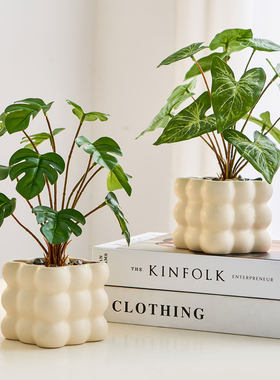 现代简约仿真绿植高端轻奢客厅摆件电视柜装饰品陶瓷盆栽室内装饰