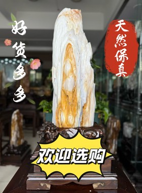 多款可选缅甸冰种树化玉原石天然奇石木化玉硅化木客厅桌面摆件