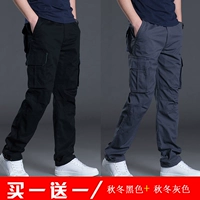 Весна и осенняя черная толстая модель+пружина и осень -серая модель толстых