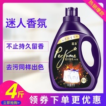 香水洗衣液家用促销组合装浓缩持久留香中性机手洗洗内衣内裤洗衣
