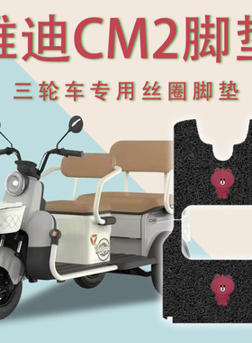 适用雅迪CM2电动三轮车脚垫YD1000DZK-35C防滑丝圈耐磨脚踏板踩垫