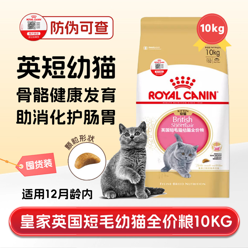 皇家英短幼猫猫主粮增肥营养蓝猫