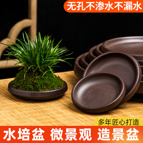 巴西木幸运木植物陶瓷专用盘紫砂陶拖盘创意接水盘多肉花盆底座垫