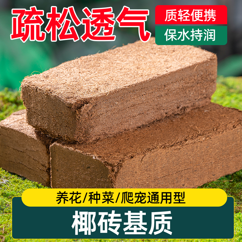椰砖营养土养花种菜通用型大块椰土壤椰糠粗椰壳种植种花椰子疏松