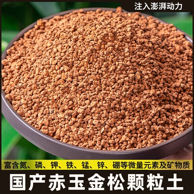 硬质金松土赤玉土颗粒颗粒赤玉多肉种植铺面石黄缘爬宠垫材土专土