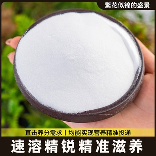 浓缩磷酸二氢钾花肥料家用园艺养花植物叶面肥大包促花促果水溶肥