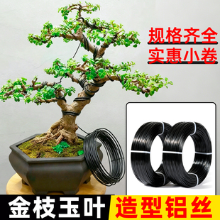 盆景专用金枝玉叶造型铝丝太阳花三角梅造型铁丝支架小叶簕竹铝线