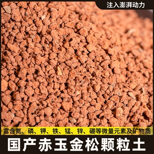 金松土赤玉土金松颗粒盆景专用硬质颗粒爬宠多肉铺面石扦插营养土