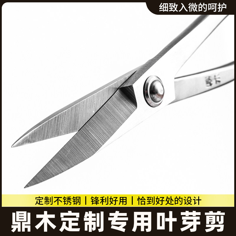 盆景修剪造型专用工具叶芽剪不锈钢兰花分苗剪刀修芽剪修枝芽切剪,鲜花速递/花卉仿真/绿植园艺,剪刀,淘宝优惠券,粉丝福利购,淘宝优惠卷