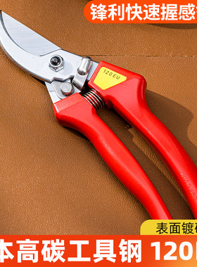 日本进口正品ARS爱丽斯修枝剪爱丽丝120DX剪刀整枝剪果树剪刀剪子
