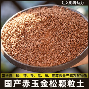 赤玉土原装金松土金松正品颗粒硬质盆景颗粒土营养土大专用优质土