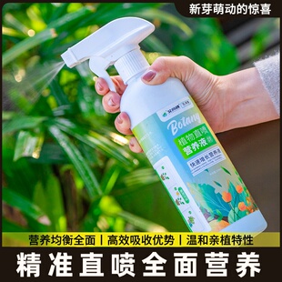 龟背竹营养液免稀释喷施叶面肥水培龟背竹专用肥防黄叶锈斑病营养