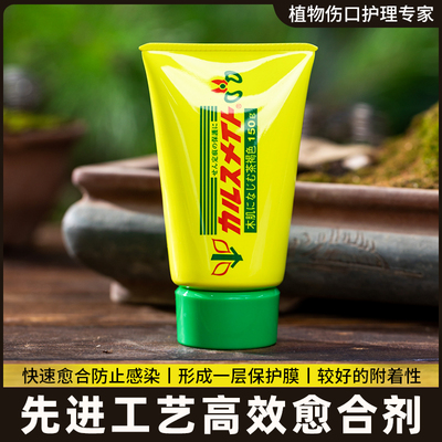 日本进口 富士植物树木兰花盆景松柏伤口切口封病口愈合剂 愈合泥