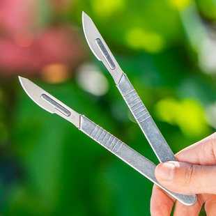 多肉植物砍头刀嫁接刀扦插多肉工具十二卷分株专用水仙雕刻刀园艺