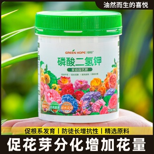 栀子花专用肥料盆栽黄叶硫酸亚铁养料磷酸二氢钾酸性营养液调节土