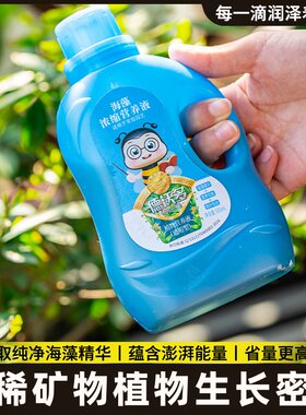 海藻球营养液球藻微景观生态瓶水培植物家用通用清洁肥料用品防枯