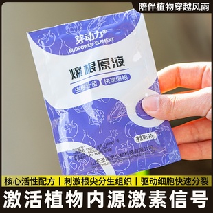 金弹子爆根剂专用生根壮苗水溶肥复活营养粉原液扦插强力猛活力素